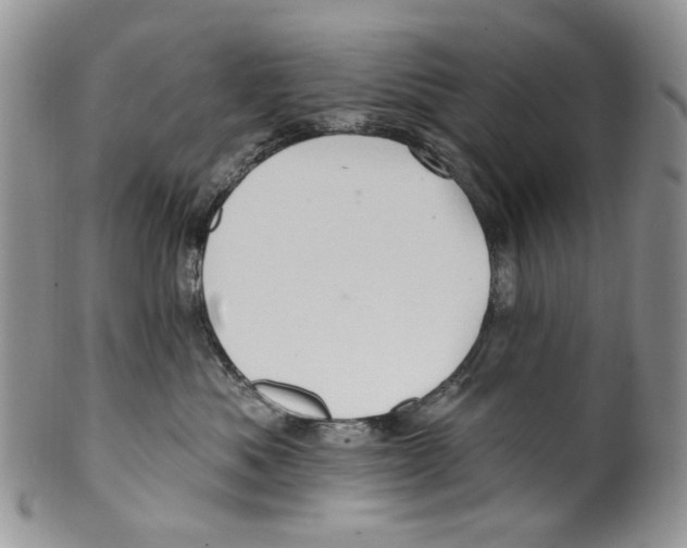 X0000099540525200806131152