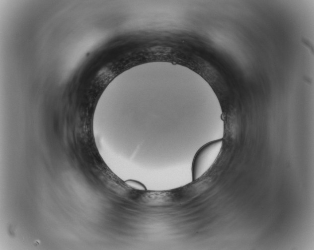 X0000099540526200806131152