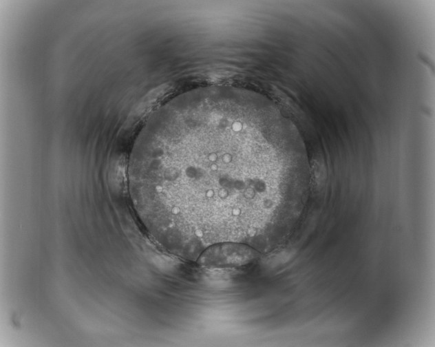 X0000099540527200806131152