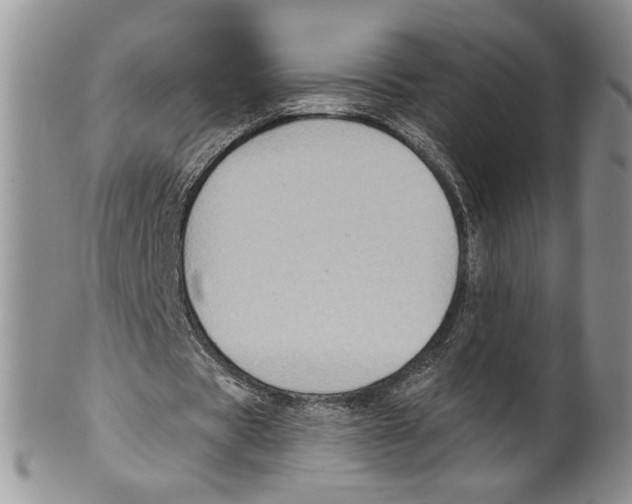 X0000099540529200806131151