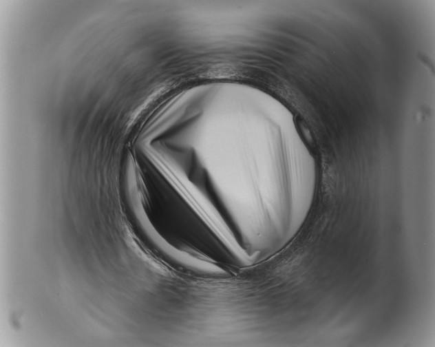 X0000099540530200806131151