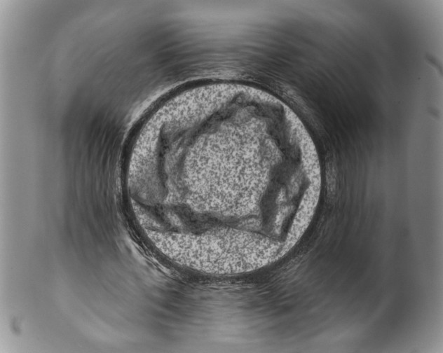 X0000099540532200806131151