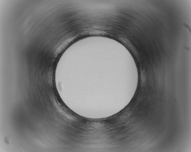 X0000099540533200806131151