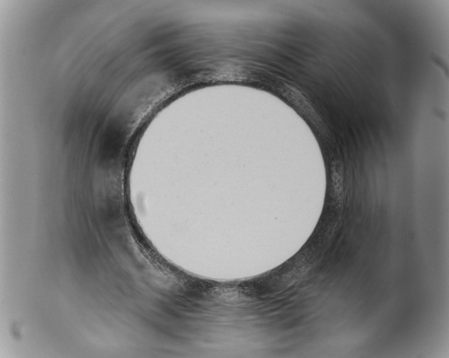 X0000099540534200806131151