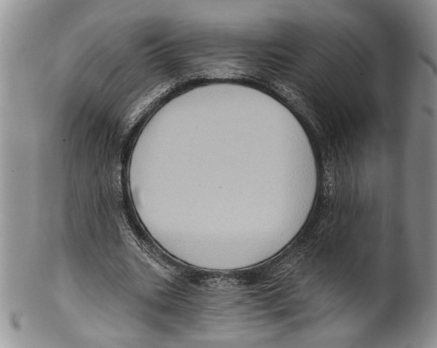 X0000099540535200806131151