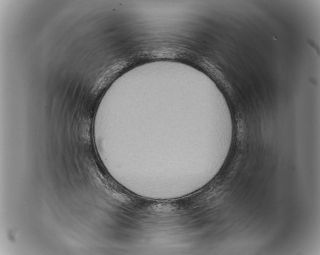 X0000099540537200806131151