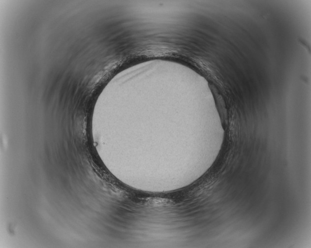 X0000099540539200806131151