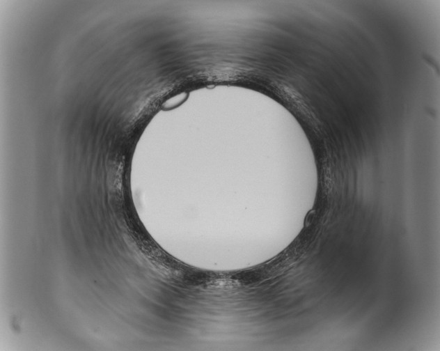 X0000099540543200806131151