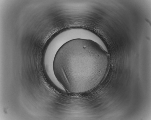 X0000099540544200806131151