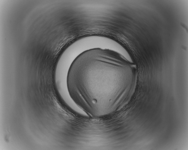 X0000099540546200806131151