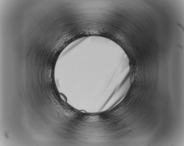 X0000099540548200806131151