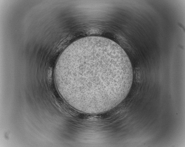 X0000099540550200806131151