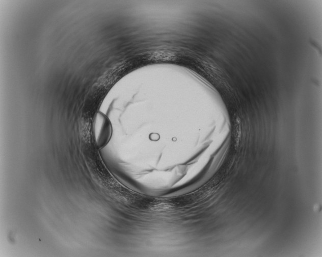 X0000099540551200806131152