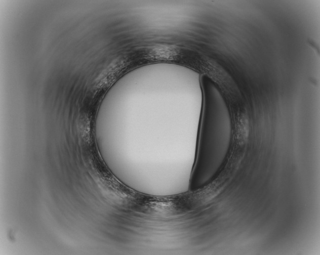 X0000099540552200806131152