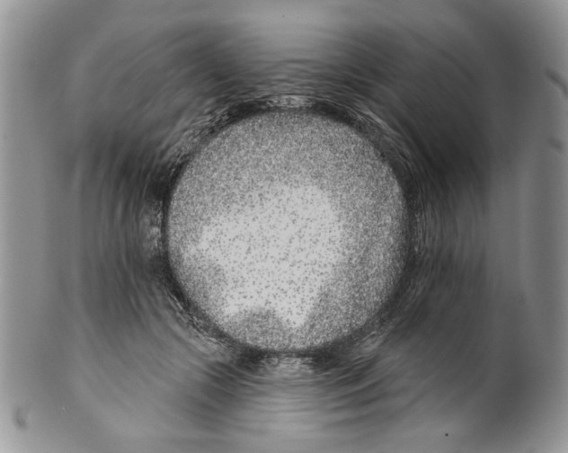 X0000099540553200806131152