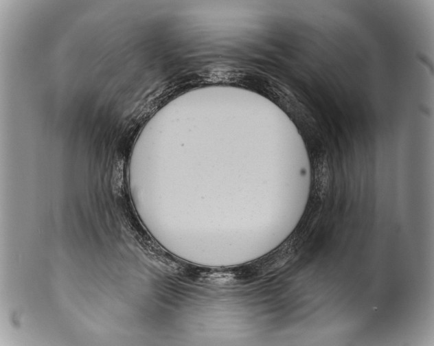 X0000099540554200806131152