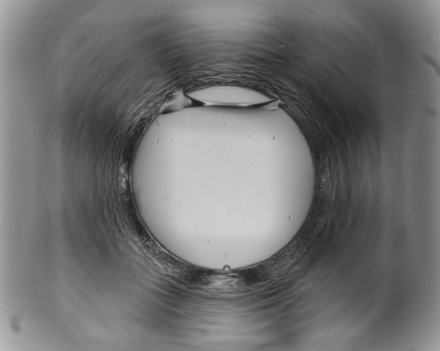 X0000099540555200806131152