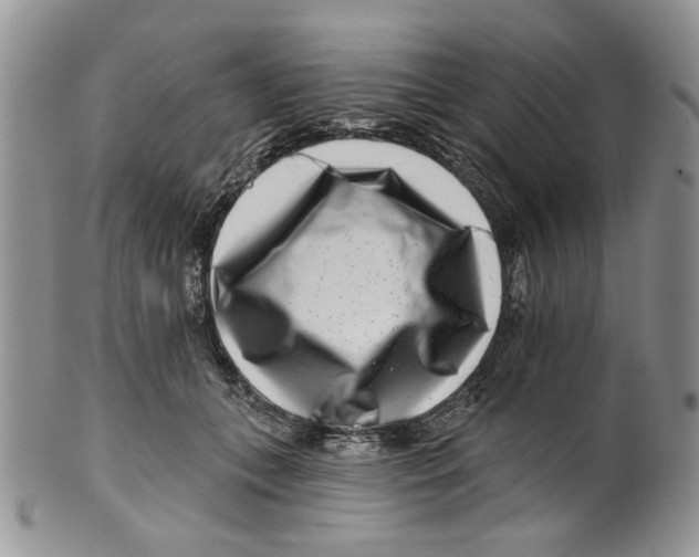 X0000099540559200806131152