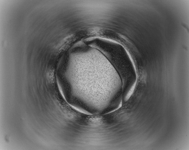 X0000099540560200806131152