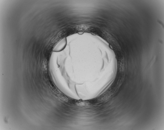 X0000099540561200806131152