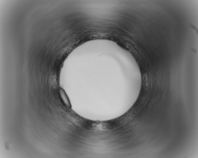 X0000099540564200806131152