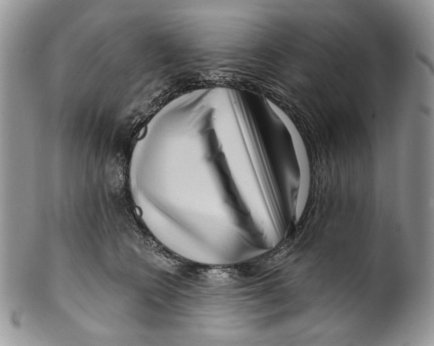 X0000099540566200806131152