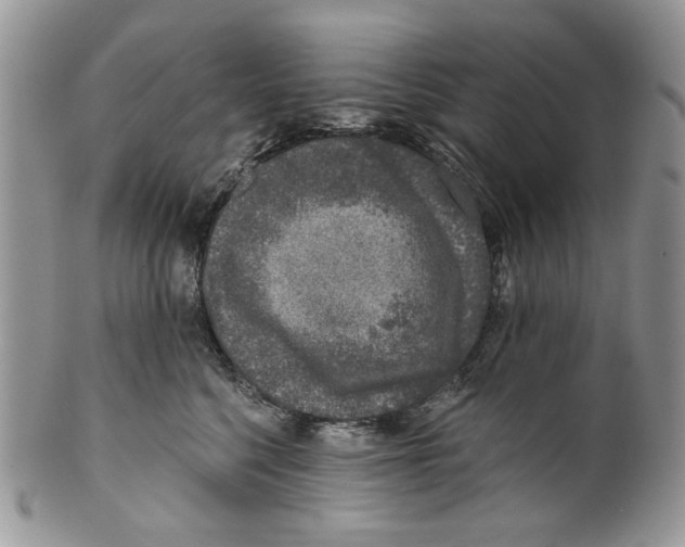 X0000099540568200806131152