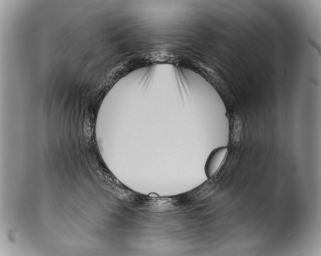 X0000099540569200806131152