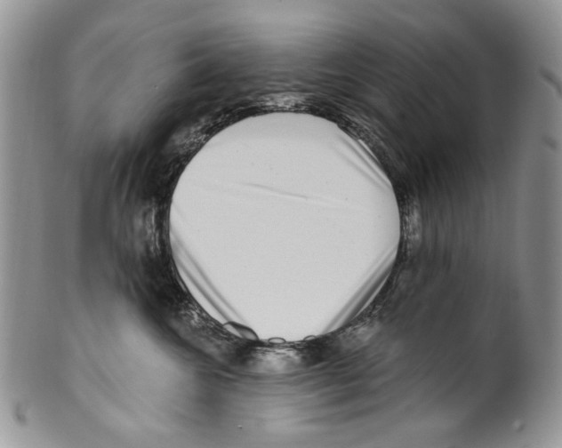 X0000099540572200806131152