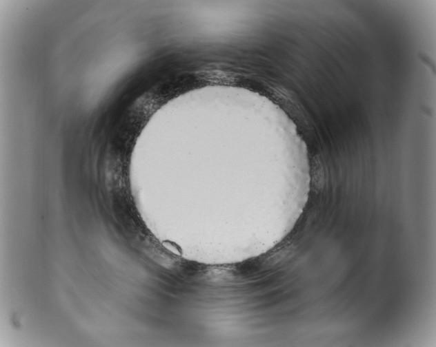 X0000099540573200806131152