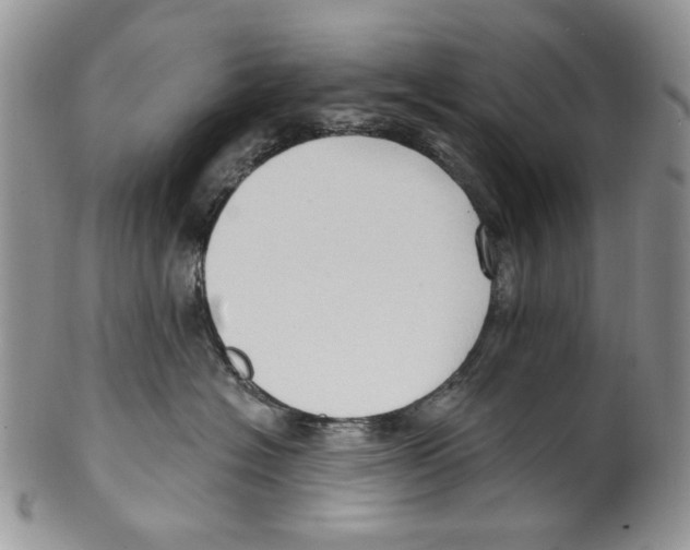 X0000099540574200806131152