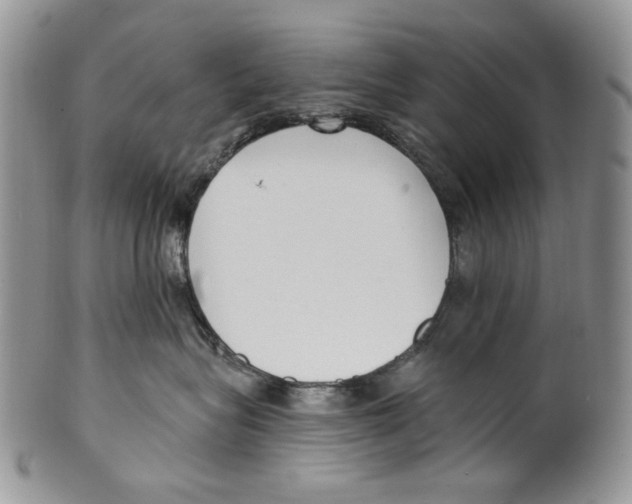 X0000099540575200806131152