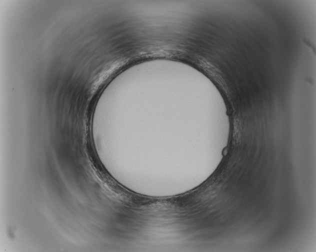 X0000099540578200806131151