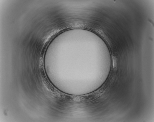 X0000099540579200806131151