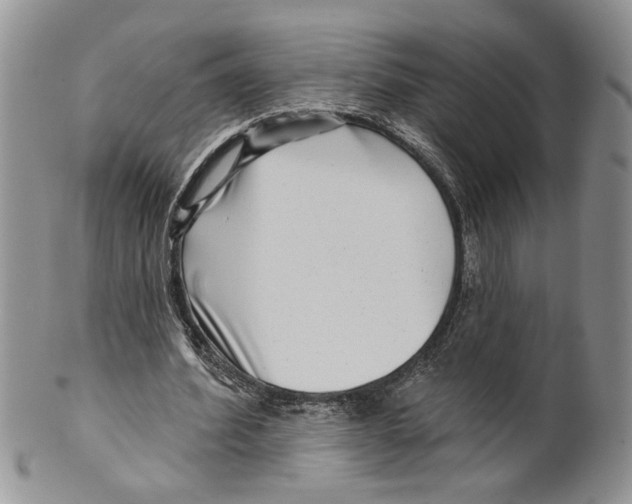 X0000099540580200806131151