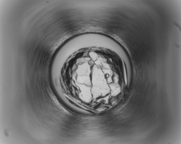 X0000099540581200806131151