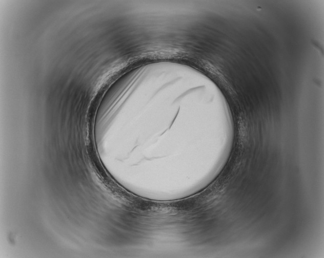 X0000099540582200806131151