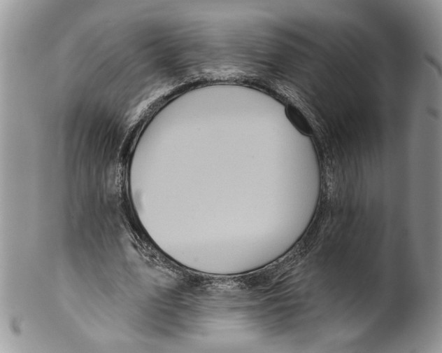 X0000099540583200806131151