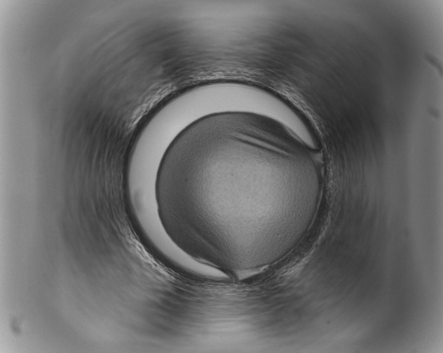 X0000099540585200806131151