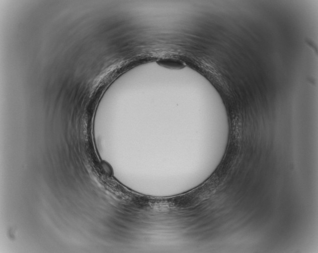 X0000099540587200806131151