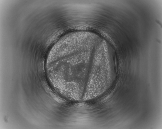 X0000099540589200806131151