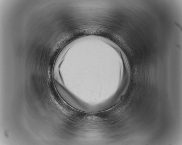 X0000099540590200806131151