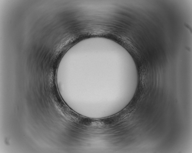 X0000099540591200806131151