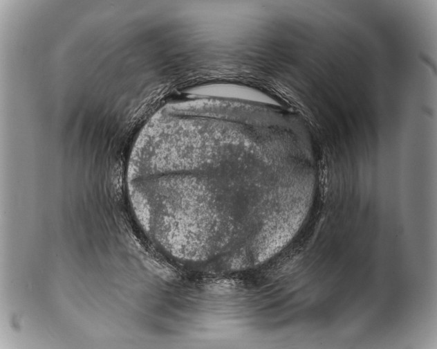 X0000099540593200806131151