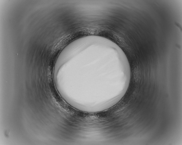 X0000099540594200806131151