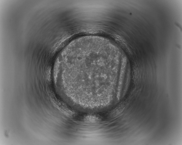 X0000099540596200806131151