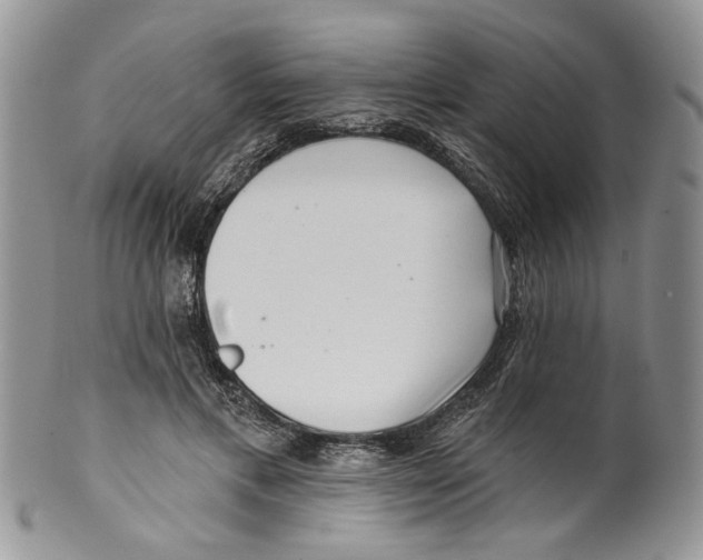 X0000099540597200806131151