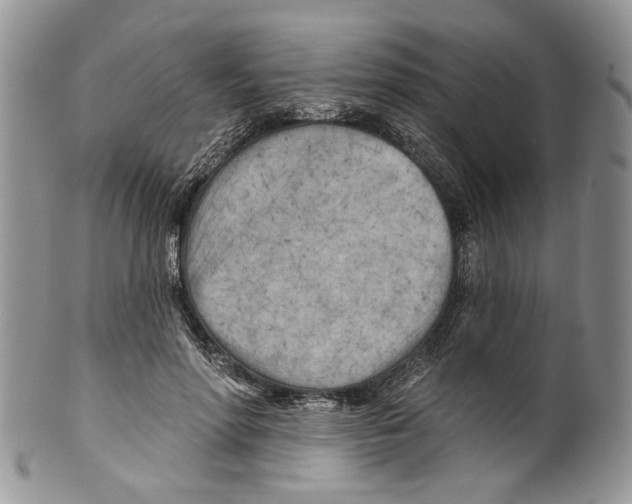 X0000099540598200806131151