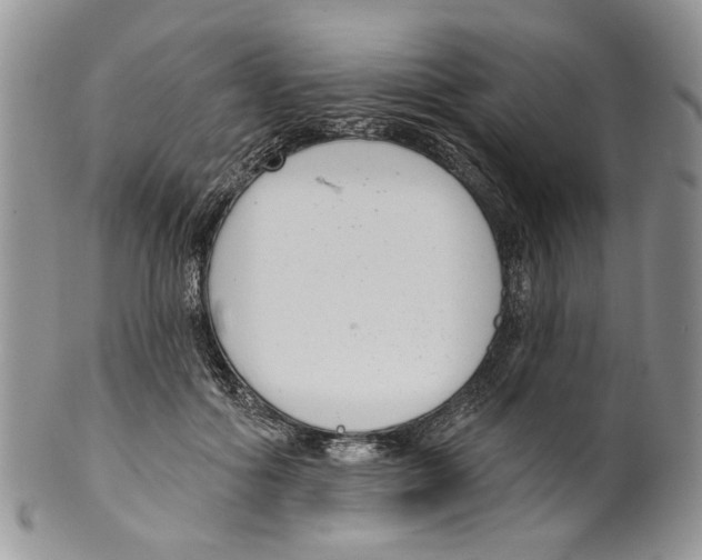 X0000099540602200806131151