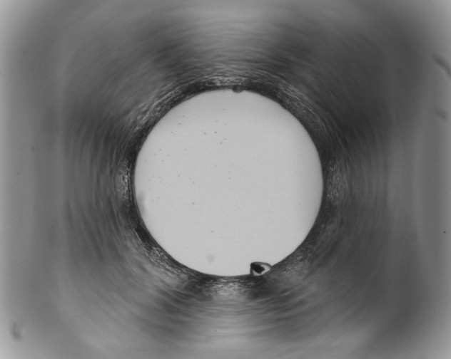 X0000099540604200806131151